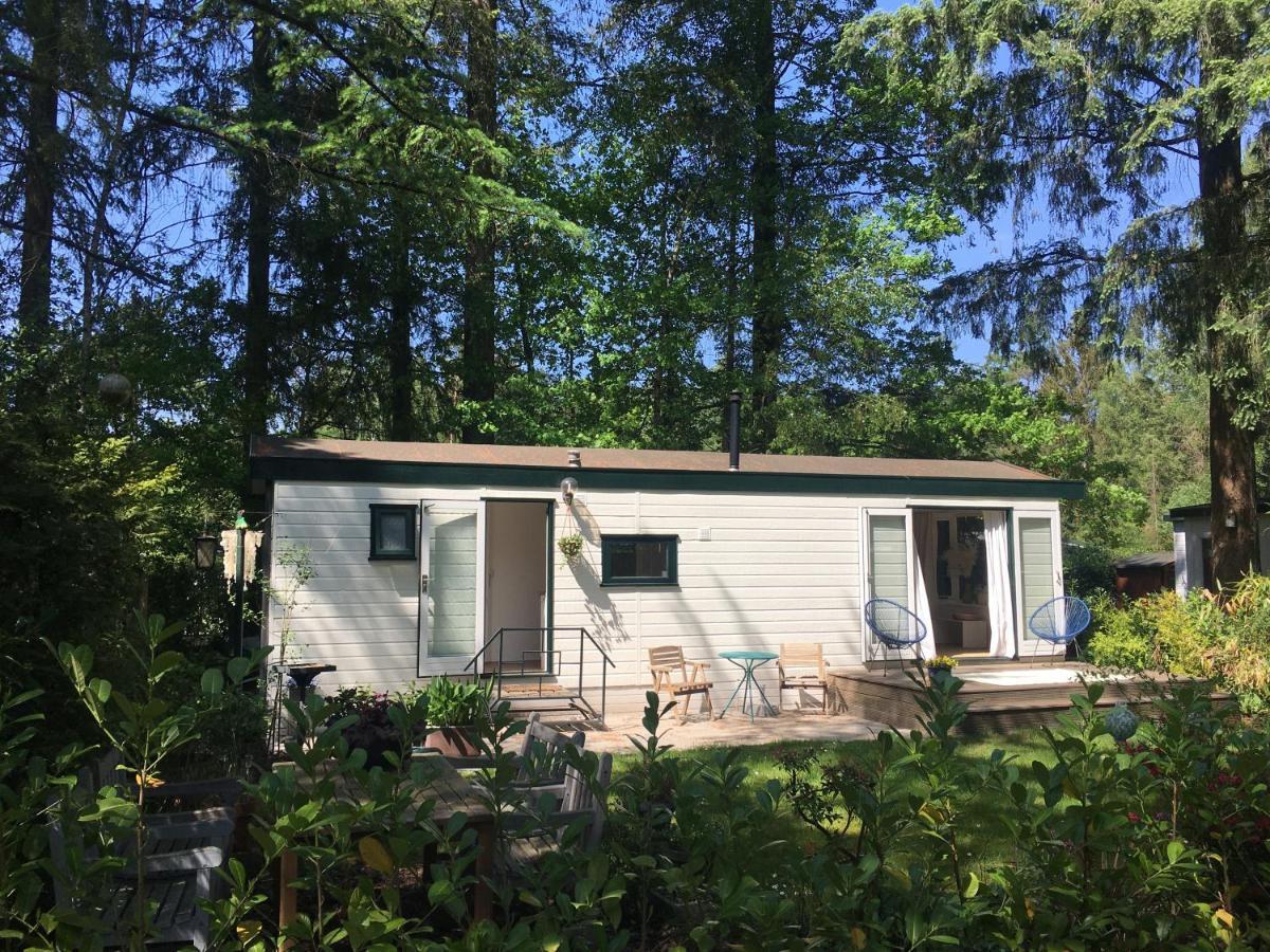 Sfeervol Vakantiehuisje In Bosrijke Omgeving Vorden Exterior photo